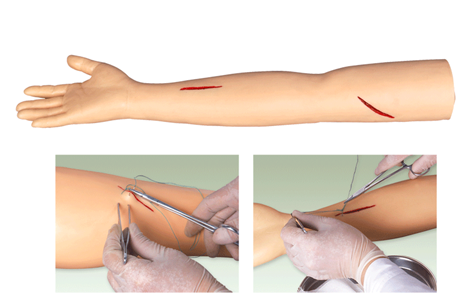hk/lf1 高级外科缝合手臂模型